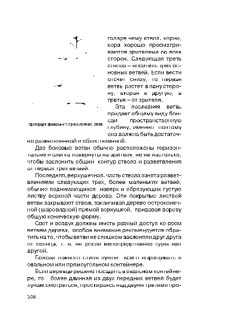 Свет и воздух должны иметь равный доступ ко всем ветвям дерева, особое внимание рекомендуется обратить на то, чтобы ветви не слишком заслоняли друг друга от солнца, т. е. не росли непосредственно одна над другой.