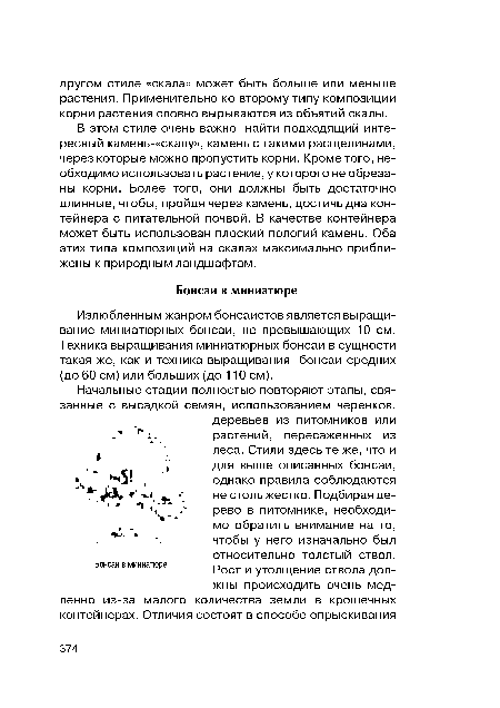 В этом стиле очень важно найти подходящий интересный камень-«скалу», камень с такими расщелинами, через которые можно пропустить корни. Кроме того, необходимо использовать растение, у которого не обрезаны корни. Более того, они должны быть достаточно длинные, чтобы, пройдя через камень, достичь дна контейнера с питательной почвой. В качестве контейнера может быть использован плоский пологий камень. Оба этих типа композиций на скалах максимально приближены к природным ландшафтам.