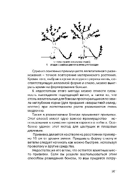 К недостаткам этого метода можно отнести сложность нахождения подходящей ветки, а также то, что стольжелательные для бонсай простирающиеся по земле неглубокие корни (для придания «возрастной солидности») при естественном росте развиваются очень медленно.