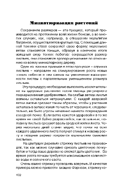 Сохранение размеров — это процесс, который производится на протяжении всей жизни бонсай, а во многих случаях, как, например, в отношении мальпигии багряной, осуществляется круглый год. С помощью данной техники ствол сохраняет свою форму; маленькие ветви становятся тоньше, образуя в конечном итоге изящный ажур тонких побегов; сокращается размер листьев, они становятся пропорциональнее по отношению ко всему миниатюрному дереву.