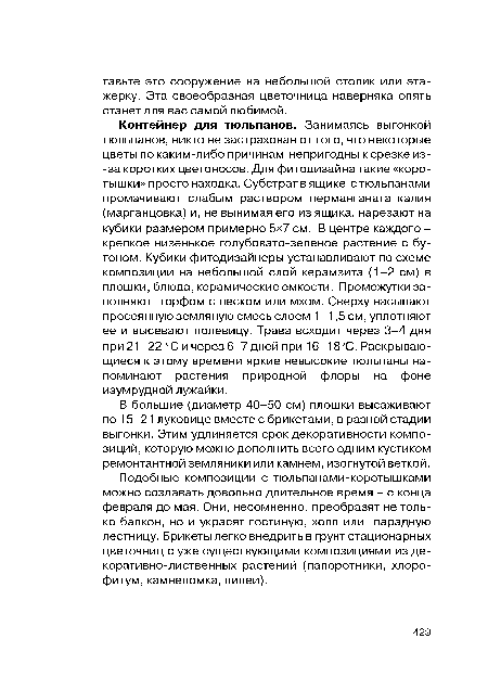 Подобные композиции с тюльпанами-коротышками можно создавать довольно длительное время - с конца февраля до мая. Они, несомненно, преобразят не только балкон, но и украсят гостиную, холл или парадную лестницу. Брикеты легко внедрить в грунт стационарных цветочниц с уже существующими композициями из де-коративно-лиственных растений (папоротники, хлоро-фитум, камнеломка, пилеи).