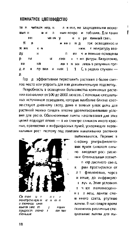 Гор д эффективнее переставить растения в более светлое место или устроить для них дополнительную подсветку.