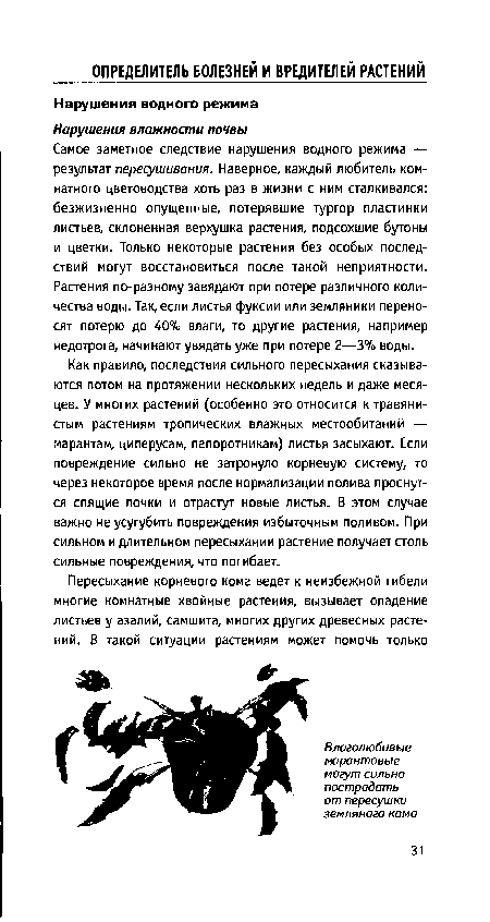 Самое заметное следствие нарушения водного режима — результат пересушивания. Наверное, каждый любитель комнатного цветоводства хоть раз в жизни с ним сталкивался: безжизненно опущенные, потерявшие тургор пластинки листьев, склоненная верхушка растения, подсохшие бутоны и цветки. Только некоторые растения без особых последствий могут восстановиться после такой неприятности. Растения по-разному завядают при потере различного количества воды. Так, если листья фуксии или земляники переносят потерю до 40% влаги, то другие растения, например недотрога, начинают увядать уже при потере 2—3% воды.