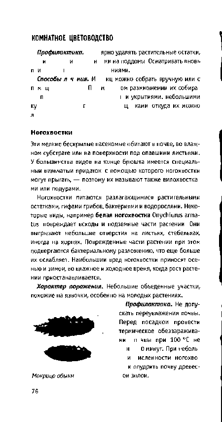 Эти мелкие бескрылые насекомые обитают в почве, во влажном субстрате или на поверхности под опавшими листьями. У большинства видов на конце брюшка имеется специальный вильчатыи придаток с помощью которого ногохвостки могут прыгать, — поэтому их называют также вилохвостка ми или подурами.