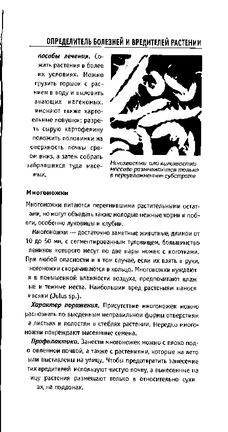 Многоножки питаются перегнившими растительными остат-ами, но могут объедать также молодые нежные корни и побеги, особенно луковицы и клубни.