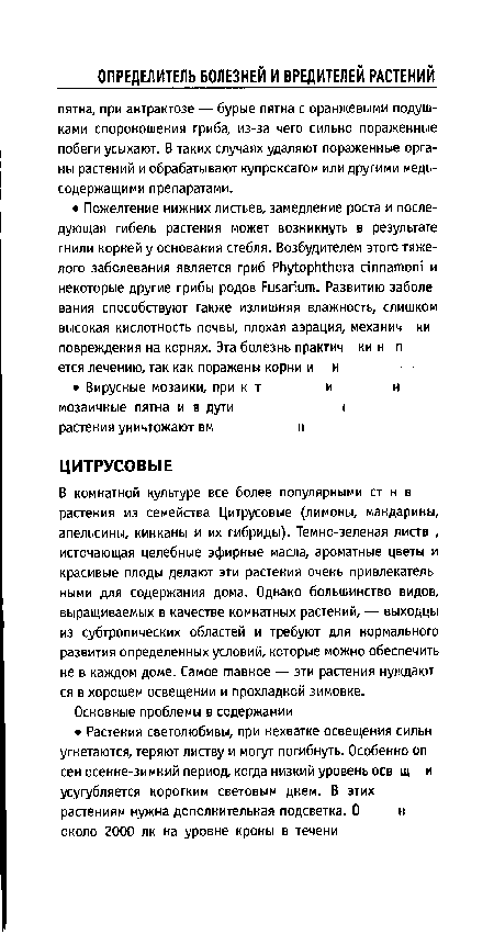 В комнатной культуре все более популярными ст н в растения из семейства Цитрусовые (лимоны, мандарины, апельсины, кинканы и их гибриды). Темно-зеленая листе , источающая целебные эфирные масла, ароматные цветы и красивые плоды делают эти растения очень привлекатель ными для содержания дома. Однако большинство видов, выращиваемых в качестве комнатных растений, — выходцы из субтропических областей и требуют для нормального развития определенных условий, которые можно обеспечить не в каждом доме. Самое главное — эти растения нуждают ся в хорошем освещении и прохладной зимовке.