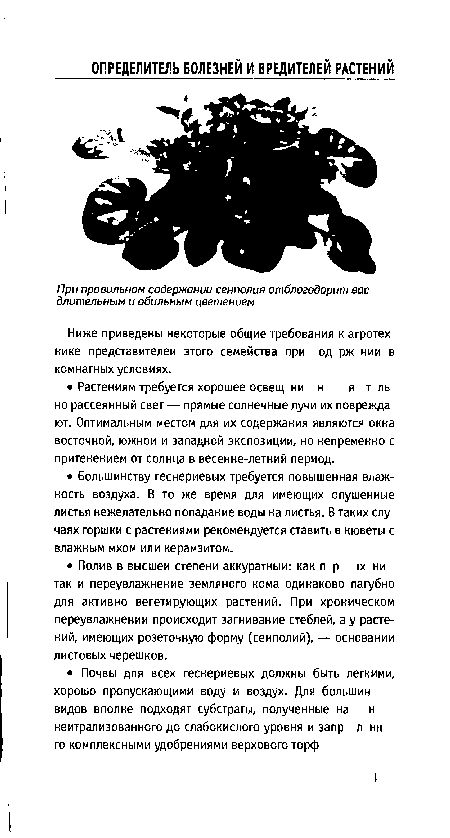 Ниже приведены некоторые общие требования к агротех нике представителен этого семейства при од рж нии в комнатных условиях.