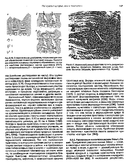 Схематическая диаграмма, показывающая способ образования слоистой галитовой породы. Полости растворения (показаны стрелками) образовались на месте наиболее растворимых частей кристаллов [2217]. 1 — шевронный галит; 2 — прозрачный галит; 3 — гипс.