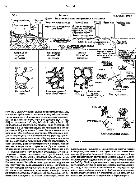 Схематический разрез карбонатного шельфа, показывающий взаимоотношения между обстановками, типом цемента и общими диагенетическими процессами (по многим авторам, главным образом [1244, 1519, 829], но исключая [115, 684, 943, 1014, 1031, 1578, 2112]). Пресноводная вадозная обстановка. Зона растворения