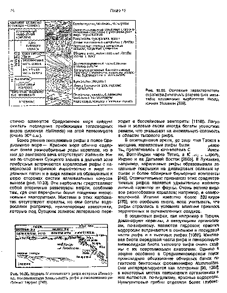 Основные характеристики стратиграфического разреза (вне масштаба) мессинских карбонатов Нихар, южная Испания [559].