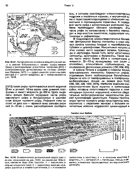 Схематический региональный разрез вдоль линии, показанной на рис. 10.57, составленный Верноном, компания Шелл Ойл, Хьюстон. 1 — известняки и сланцы открытого моря; 2 известняки края шельфа, рифы рудистов и отмели грейнстонов; 3 — в основном