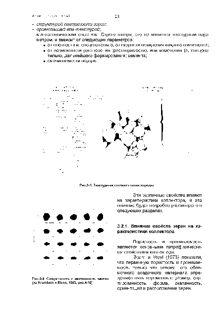 Текстурные составляющие породы.