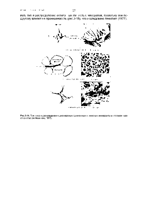 Три типа и распределения дисперсных аутигенных глинистых минералов в поровом пространстве (из МеавИат, 1977).