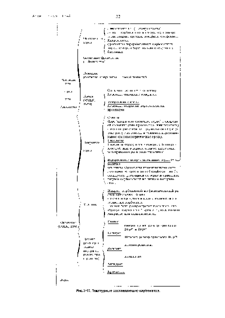 Текстурные составляющие карбонатов.