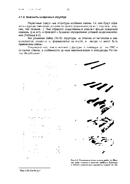 Различные типы знаков ряби, (а) Мелкая рябь течения с прямым гребнем. Единицы с косой слоистостью являются плоскими. (Ь).