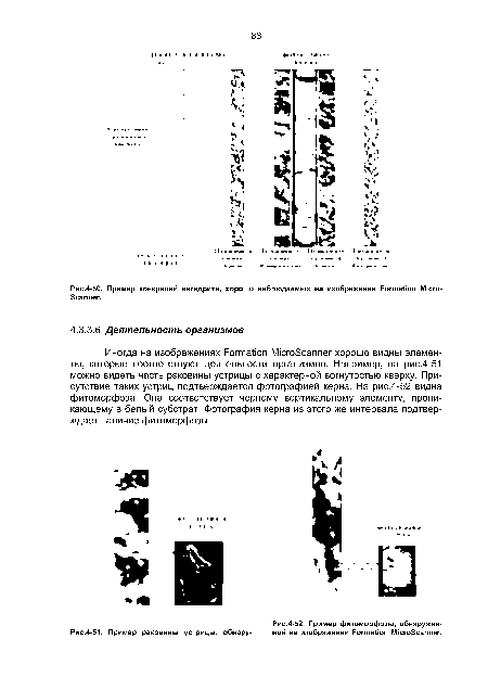 Пример фитоморфозы, обнаружен-