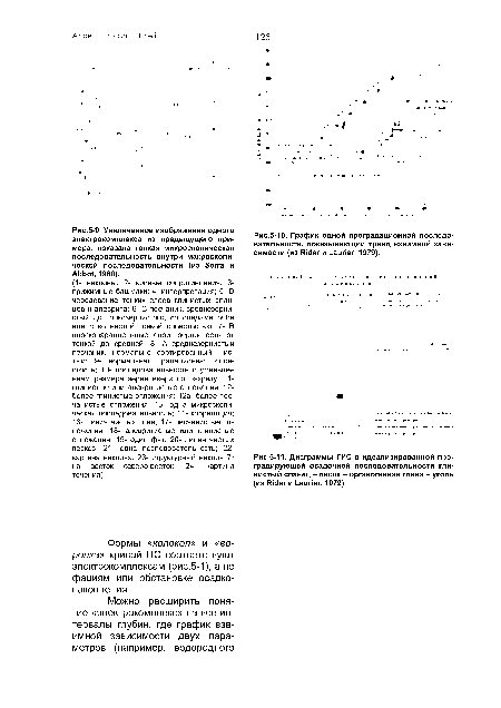 Увеличенное изображение одного электрокомплекса из предыдущего примера