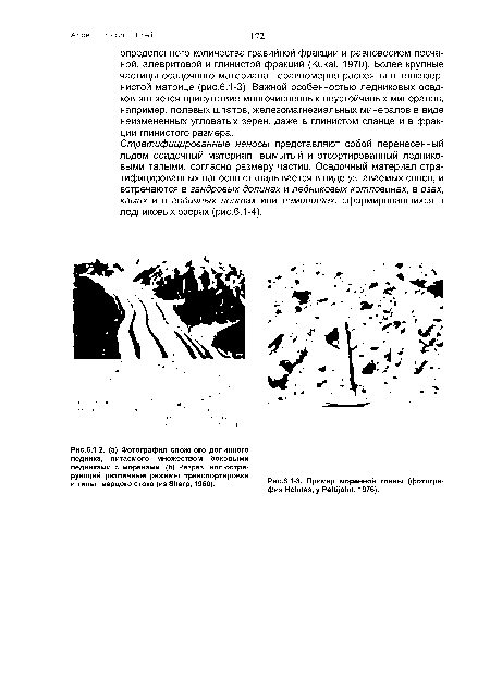 Пример моренной глины (фотография Holmes, у Pettijohn, 1976).