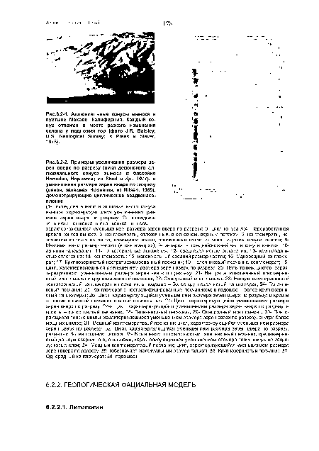 Аллювиальные конусы выноса в пустыне Мохаве, Калифорния. Каждый конус отложен в месте резкого изменения склона у подножия гор (фото J.R. Balsley, U.S. Geological Survey; в Press и Siever, 1978).
