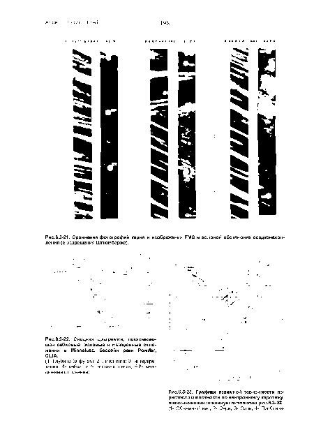Сравнение фотографий керна и изображения РМЭ в эоловой обстановке осадконакоп-ления (с разрешения Шлюмберже).