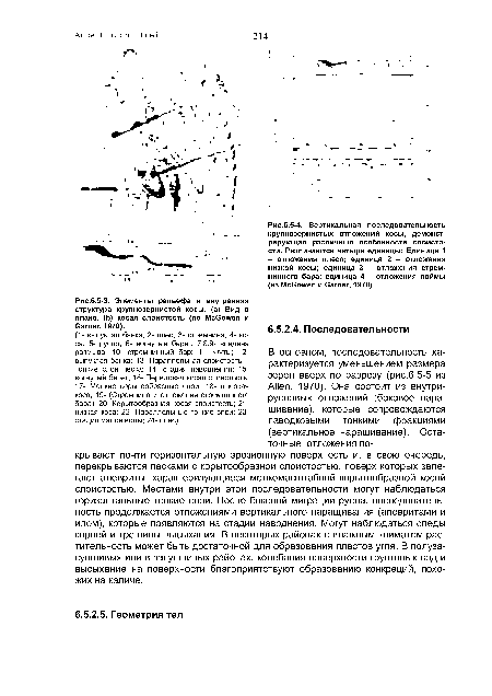 Вертикальная последовательность крупнозернистых отложений косы, демонстрирующая различные особенности слоистости. Различаются четыре единицы