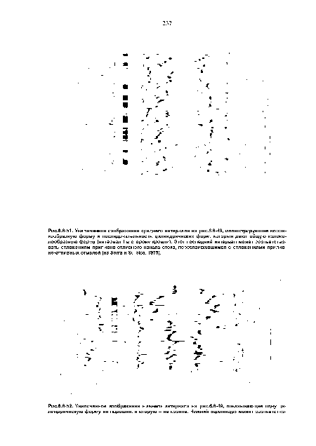 Увеличенное изображение среднего интервала на рис.6.6-49, иллюстрирующее воронкообразную форму и последовательность цилиндрических форм, которые дают общую колоколообразную форму (интервал f в сторону кровли). Этот последний интервал может соответствовать отложениям приливно-отливного канала стока, переслаивающимся с отложениями прилив-но-отливных отмелей (из Serra и Sulpice, 1975).