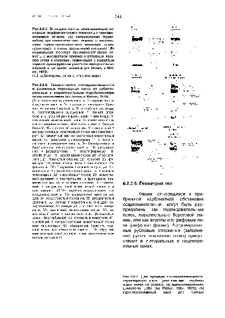 Теоретические последовательности в различных переходных зонах от сублиторальных к надлиторальным подобстановкам осадконакопления (из James, в Walker, 1979).