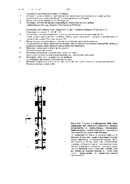Трассы и изображения РМЭ, показывающие все типичные элементы, которые встречаются в турбидитовых отложениях