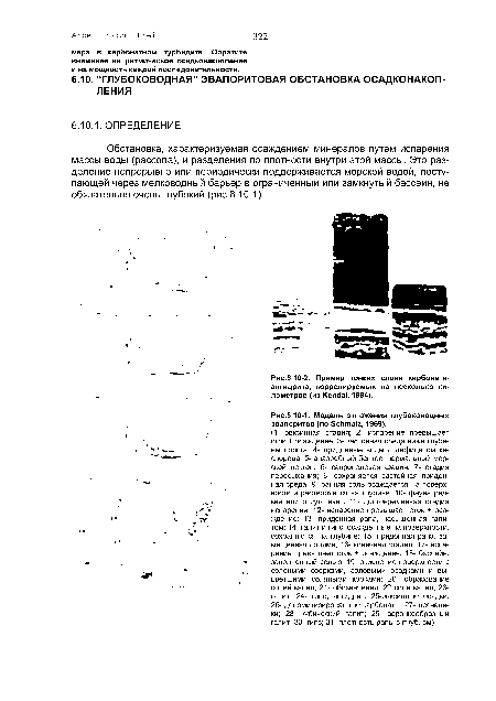 Пример тонких слоев карбоната-ангидрита, коррелируемых на несколько километров (из Kendal, 1984).