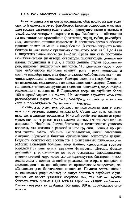 Бентические животные обитают на поверхности или в верхнем слое озерных донных отложений. Среди них есть как мирные, так и хищные организмы. Мирный зообентос питается преимущественно детритом или мелкими иловыми частицами донных отложений. Наиболее богата бентофауна мелководных участков водоема, что связано с разнообразием грунтов, лучшим прогревом водной массы, обилием фитопланктона, после отмирания которого образуется богатый органическим веществом детрит. Бедность бентических сообществ в центральных глубоководных районах акваторий больших озер помимо однообразия грунтов определяется еще двумя важными факторами. Детрит, формирующийся в эпилимнионе по мере отмирания фитопланктона, в значительной мере здесь же минерализуется бактерио- и зоопланктоном в период летней стратификации озера и попадает в гиполимнйон и на дно обедненным органическим веществом, необходимым для бентических животных. Помимо этого, личинки насекомых (хирономиды) не могут обитать в глубоких и удаленных от берега участках озерного дна, так как им нужны благоприятные условия для вылета взрослых стадий насекомых Именно поэтому на глубинах, больших 100 м, преобладают олигохеты.