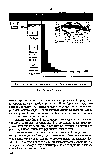 Позиция меню Run Model запускает модель. Стандартное время пробега модели 40 лет, однако оно может быть неограниченно увеличено, если снова нажать курсором мыши на позицию Run Model. В текстовом окне (Yeld Sum) высвечивается суммарный вылов рыбы по всему озеру в центнерах, как это принято в промысловой статистике по Ладоге.