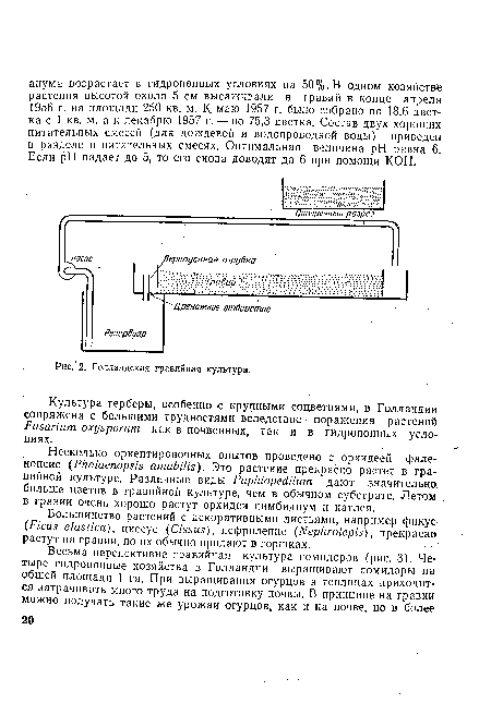 Голландская гравийная культура.