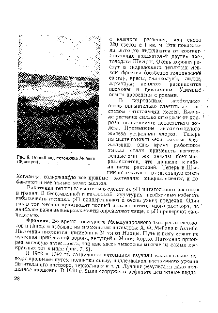 Общий вид питомника Мейяна (Франция).