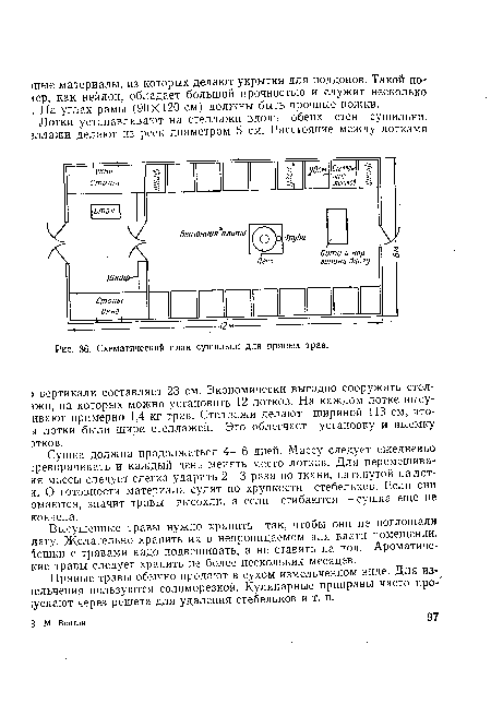 Схематический план сушильни для пряных трав.