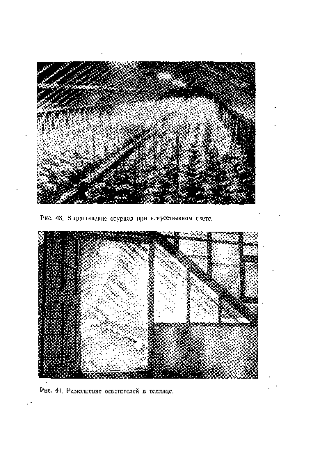 Размещение осветителей в теплице.