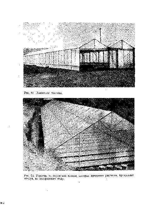 Укрытие из сарановой пленки, которая притеняет растения, пропускает воздух, но задерживает воду.