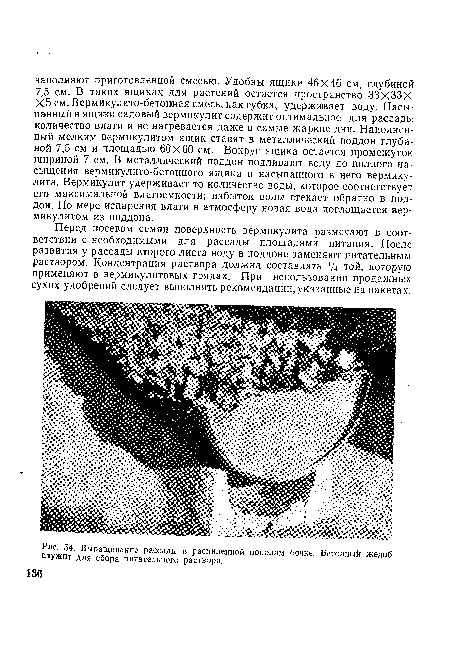 Выращивание рассады в распиленной пополам бочке. Бетонный желоб служит для сбора питательного раствора.