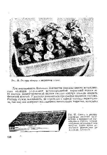 Семена и рассаду отдельных растений высаживают в наполненные вермикулитом горшки, которые погружают во влажный вермикулит. Таким путем достигается равномерное увлажнение субстрата.