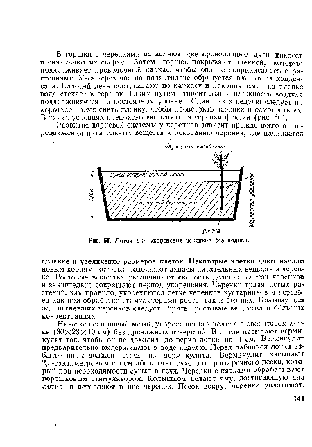 Лоток для укоренения черенков без полива.