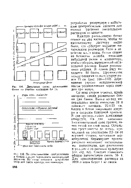 По экономическим соображениям в банках следует выращивать высокорослые растения. На схеме показано устройство опор для таких культур, как помидоры.