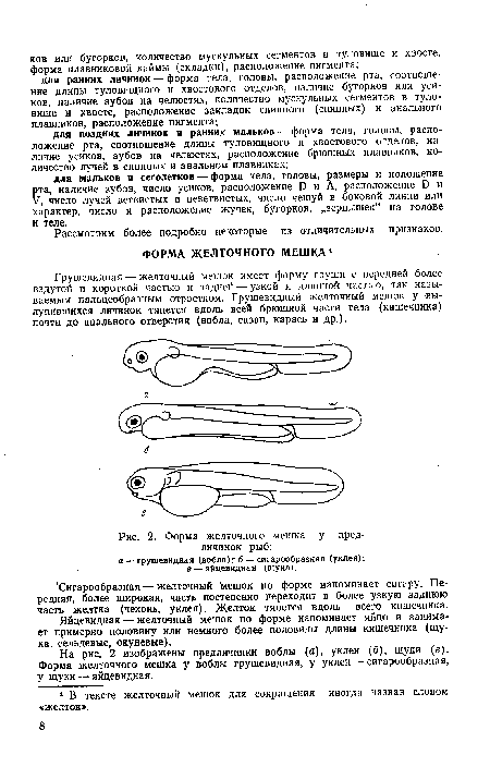 Форма желточного мешка у пред-личинок рыб