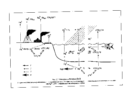 Цикл ртути в биосфере £247].