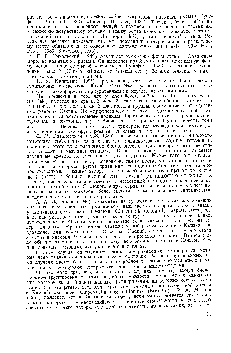 А. А. Ловецкая (1940) указывает на существование таких же, меньших чем раса, внутривидовых группировок, называемых автором также стадами, у каспийской обыкновенной кильки ¡(Chipeoneila delicatula caspia). Этот подвид, как указывает автор, состоит и,з двух групп или стад. «Первое из них, проводя зиму в Южном Каспии, в начале весны начинает двигаться на север, главным образом вдоль западного побережья Среднего Каспия, направляясь для икрометания в Северный Каспий, откуда часть этого стада заходит в низовья Волги и других рек, где происходит нерест... Второе стадо обыкновенной кильки, по-видимому, всю жизнь проводит в Южном Каспии, совершая сезонные миграции в его пределах».