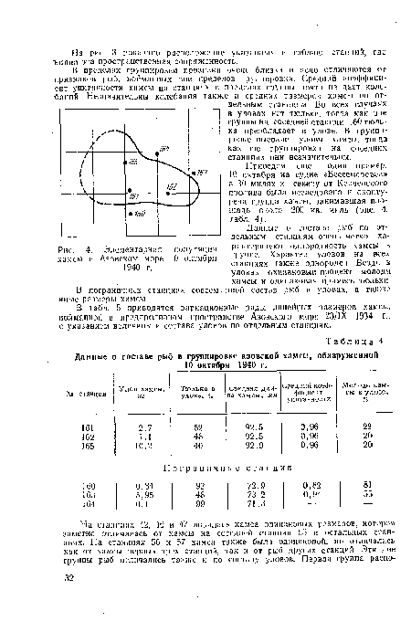 Элементарная популяция хамсы в Азовском море 10 октября 1940 г.