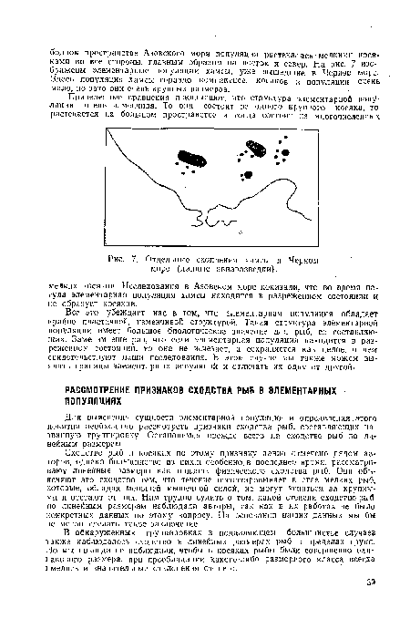 Отдельные скопления хамсы в Черном море (данные авиаразведки).