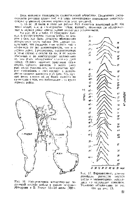 Распределение элементарных популяций молоди воблы в районе островов Макаркин и Б. Зюдев 15—18 июля 1959 г.