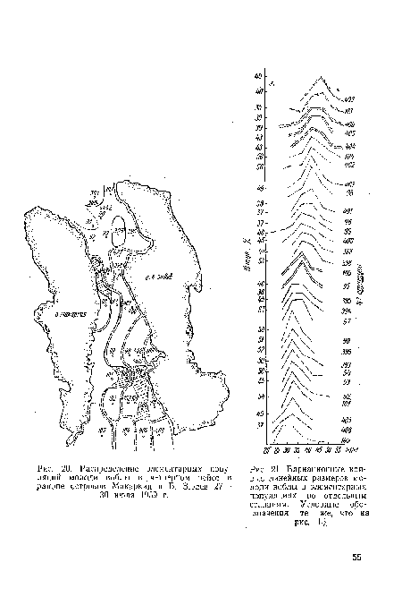 Распределение элементарных популяций молоди воблы в четвертом рейсе в районе островов Макарким и Б. Зюдев 27— 30 июля 1959 г.
