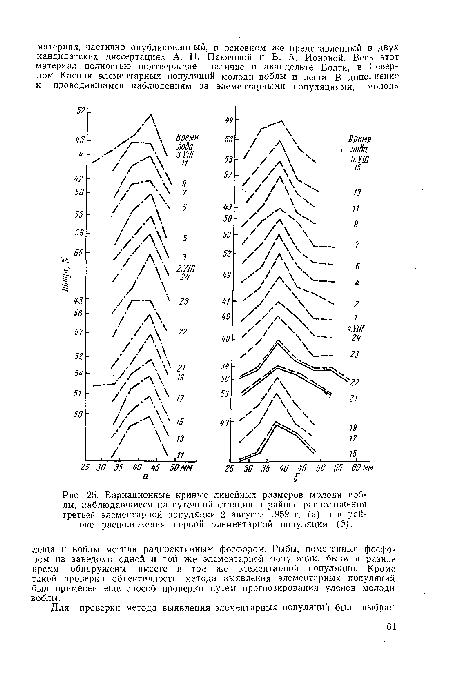 Вариационные кривые линейных размеров молоди воблы, наблюдавшиеся на суточной станции в районе расположения третьей элементарной популяции 2 августа 1959 г. (а) и в районе расположения первой элементарной популяции (б).