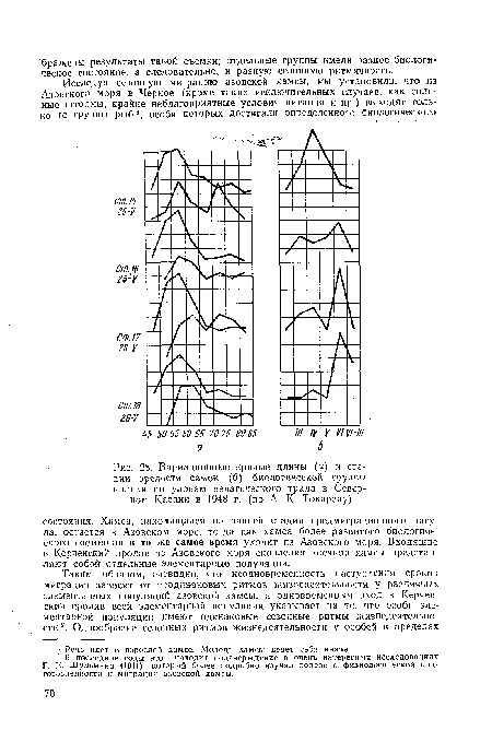 Вариационные кривые длины (а) и стадии зрелости самок (б) биологической группы кильки по уловам пелагического трала в Северном Каспии в 1948 г. (по А. К. Токареву).
