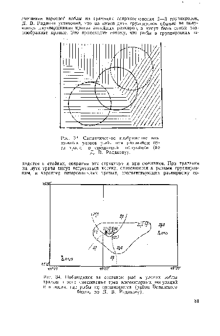 Наблюдения за составом рыб в уловах воблы гралом в зоне смешивания трех элементарных популяций и в зонах, где рыбы не смешиваются (район Белинского банка, по Д. В. Радакову).